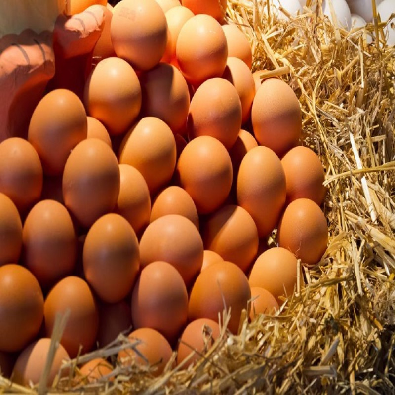 Organic Cage-Free Grade A Large Brown Eggs